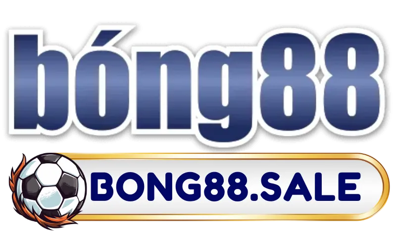 bingobox.tv